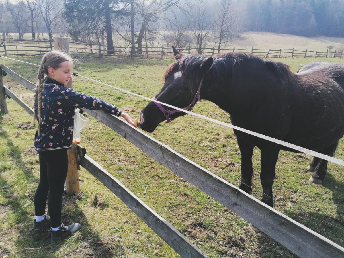Camper Park Radkow Villa Kültér fotó